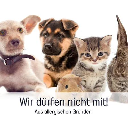 דירה City-apartment *