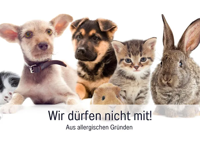 公寓 City-apartment *